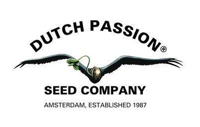 Dutch Passion 