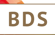 BDS Schilders