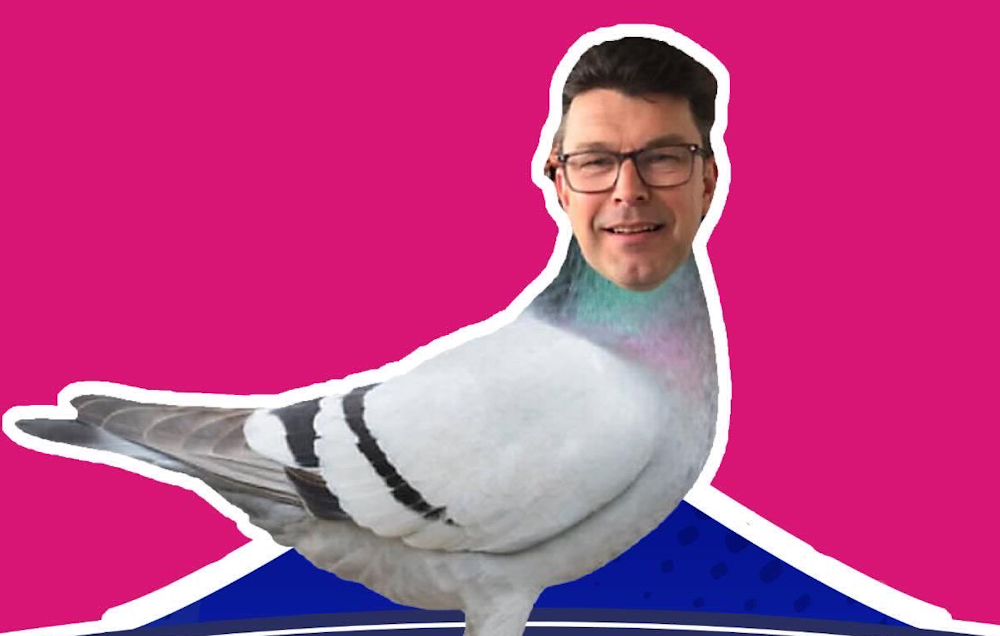 Pigeon Piet