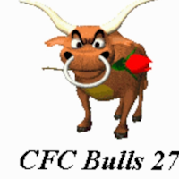 CFC Bulls 🐂