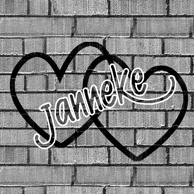 Janneke750